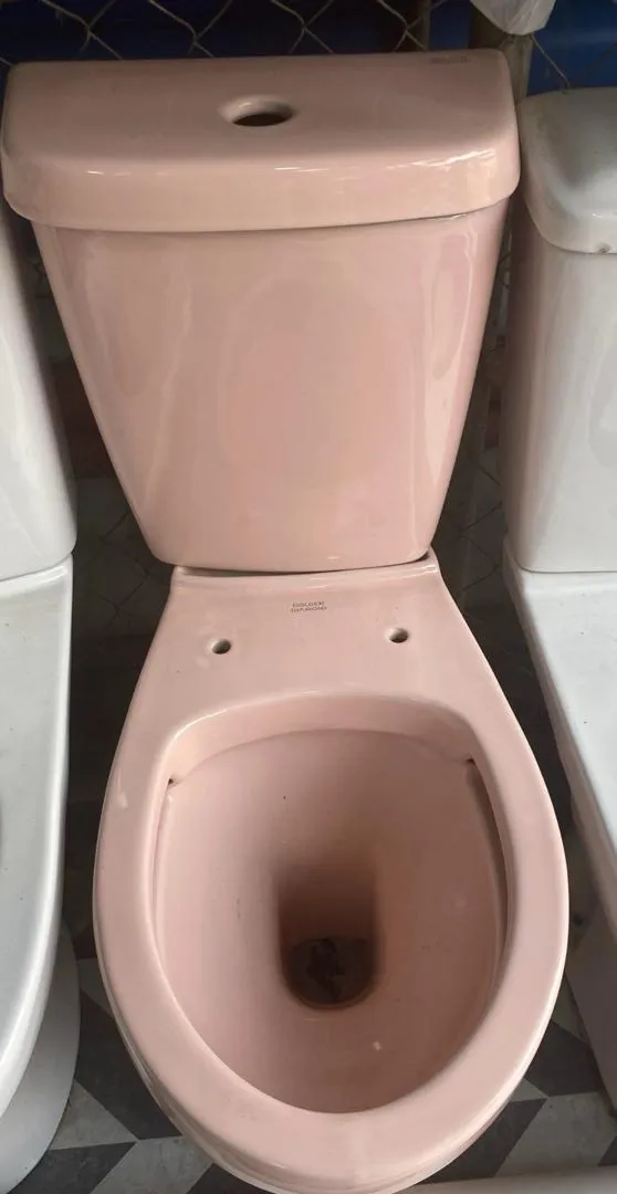 Golden diamond toilet seat with top flush