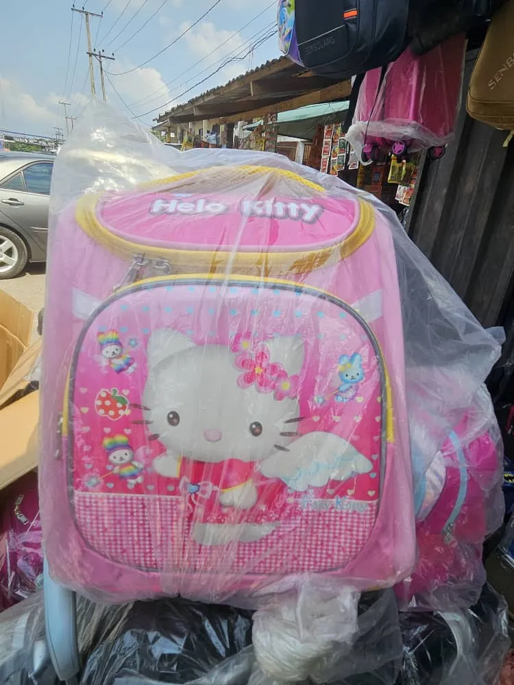 Big Size Pink School bag