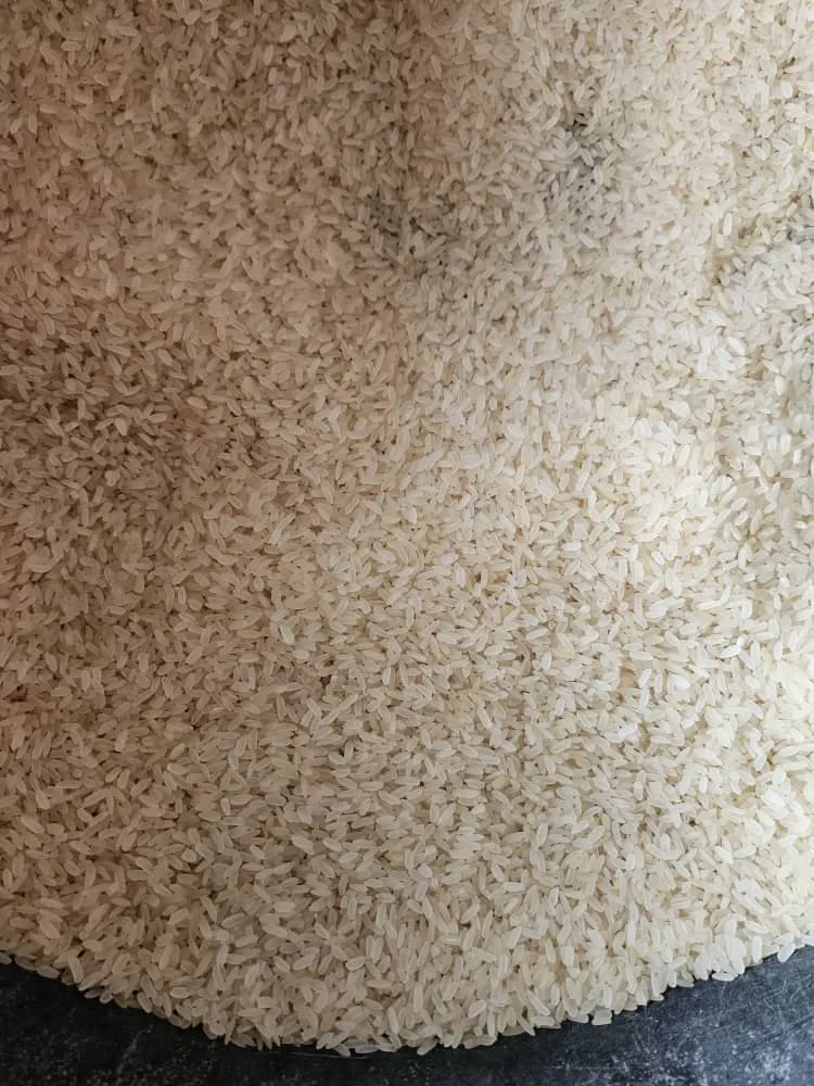 Stone Free polished Rice (custard measurement)