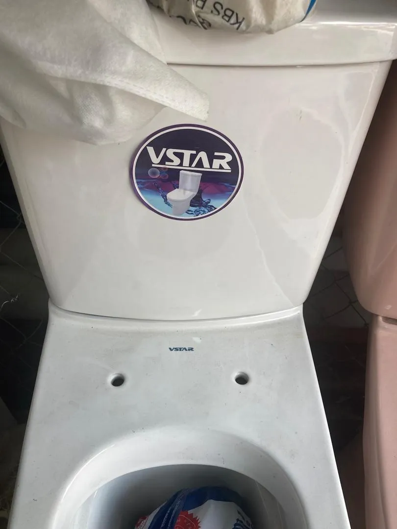 Vstar toilet seat with top flush